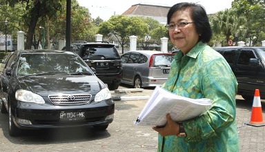Menteri Kehutanan DR. Siti Nurbaya : Pelaku Illegal Loging Setingkat Teroris