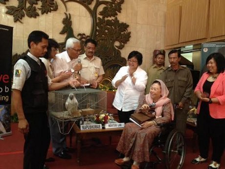 Siti Nurbaya : Dalam 10 Hari, 72 Kakatua Jambul Kuning Diterima Pemerintah