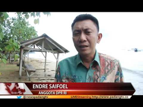 Endre Saifoel : DPR Dukung Rencana RNI Bangun PLTMH di Sumatera Barat