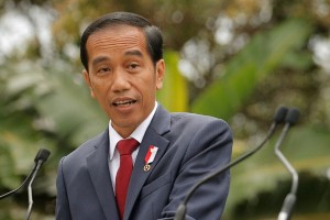 Presiden Jokowi Akan Bagikan 30 Juta Hektare Lahan ke Masyarakat